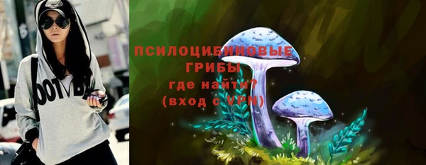 дживик Алексеевка