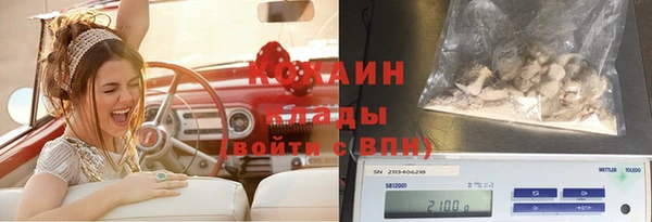 сатива Алзамай