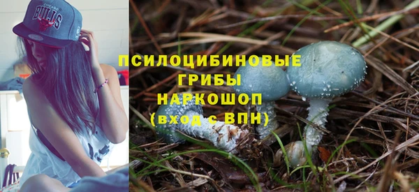 ГАЛЛЮЦИНОГЕННЫЕ ГРИБЫ Алексин