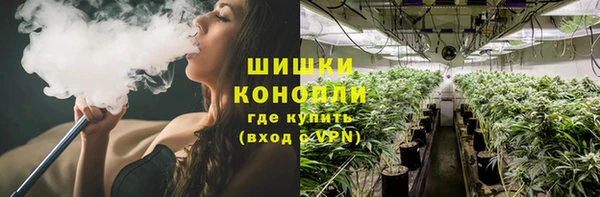 сатива Алзамай