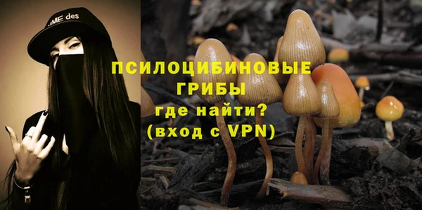 ГАЛЛЮЦИНОГЕННЫЕ ГРИБЫ Алексин