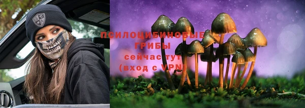 сатива Алзамай